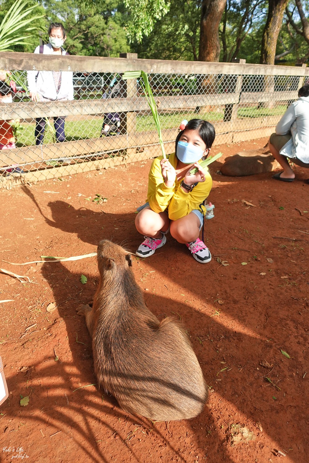 野餐好去處~來去萌萌村與水豚有約！超人氣水豚君、草泥馬~動物好可愛~還能騎車逛園區~ - yuki.tw