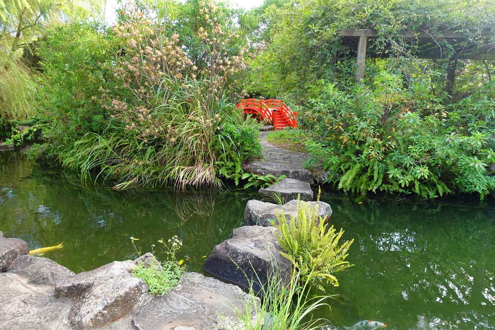 野餐好去處~來去萌萌村與水豚有約！超人氣水豚君、草泥馬~動物好可愛~還能騎車逛園區~ - yuki.tw