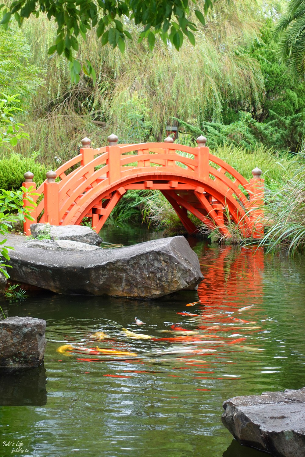 野餐好去處~來去萌萌村與水豚有約！超人氣水豚君、草泥馬~動物好可愛~還能騎車逛園區~ - yuki.tw