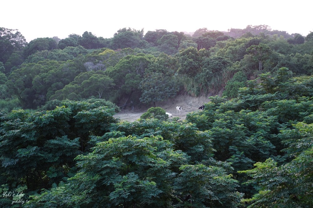 平價泡腳賞夜景好愜意~景觀不錯，一人一池泡腳看夜景超悠閒！還能用餐吃火鍋～適合約會或聚餐 - yuki.tw