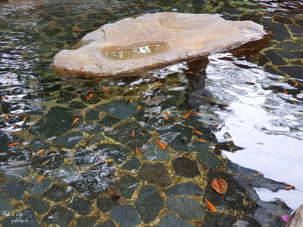 新竹泡湯玩水推薦》會來尖石溫泉渡假村，峇里島風泡湯還能玩滑水道，親子平價住宿 - yuki.tw