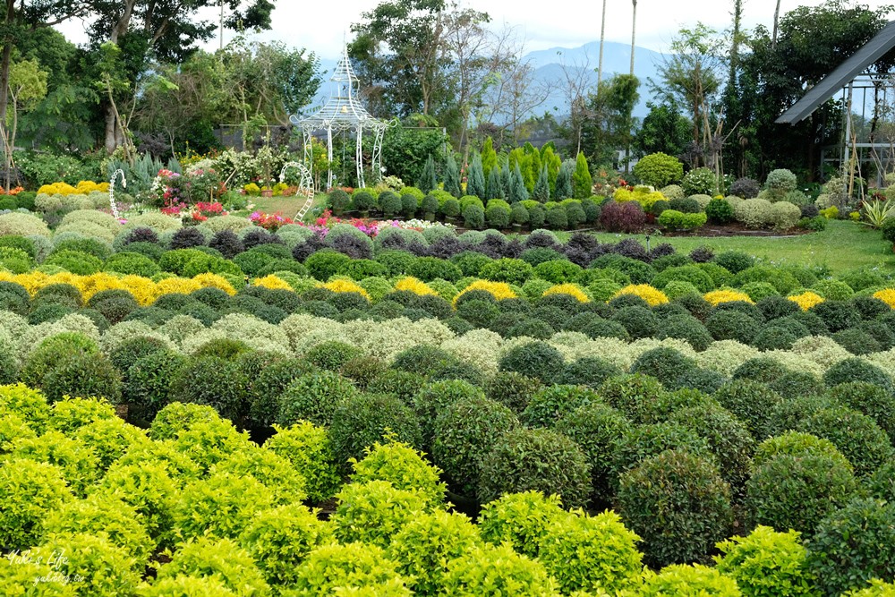 苗栗卓蘭景點【花露農場】精油城堡.仙霧池畔下午茶.一年四季不同主題超浪漫！ - yuki.tw