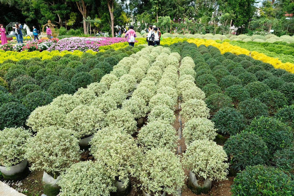 苗栗卓蘭景點【花露農場】精油城堡.仙霧池畔下午茶.一年四季不同主題超浪漫！ - yuki.tw