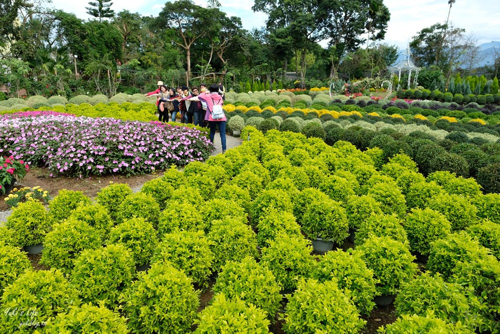 苗栗卓蘭景點【花露農場】精油城堡.仙霧池畔下午茶.一年四季不同主題超浪漫！ - yuki.tw