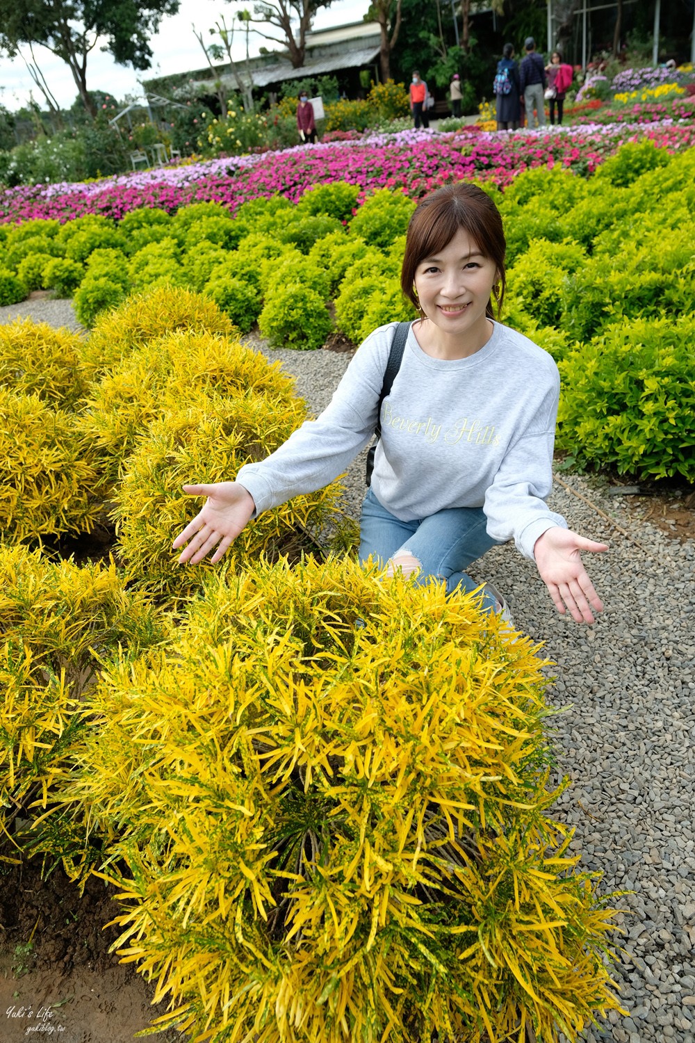 苗栗卓蘭景點【花露農場】精油城堡.仙霧池畔下午茶.一年四季不同主題超浪漫！ - yuki.tw