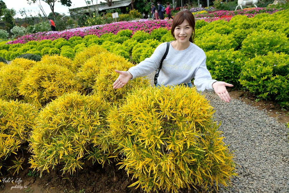 苗栗卓蘭景點【花露農場】精油城堡.仙霧池畔下午茶.一年四季不同主題超浪漫！ - yuki.tw