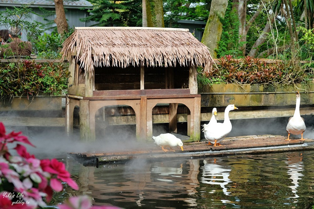 苗栗卓蘭景點【花露農場】精油城堡.仙霧池畔下午茶.一年四季不同主題超浪漫！ - yuki.tw