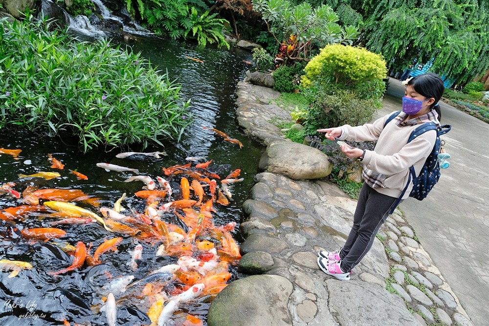 苗栗卓蘭景點【花露農場】精油城堡.仙霧池畔下午茶.一年四季不同主題超浪漫！ - yuki.tw