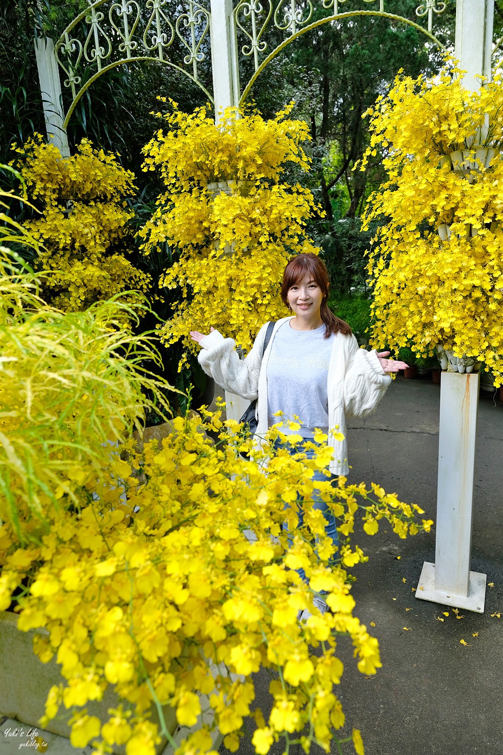 苗栗卓蘭景點【花露農場】精油城堡.仙霧池畔下午茶.一年四季不同主題超浪漫！ - yuki.tw