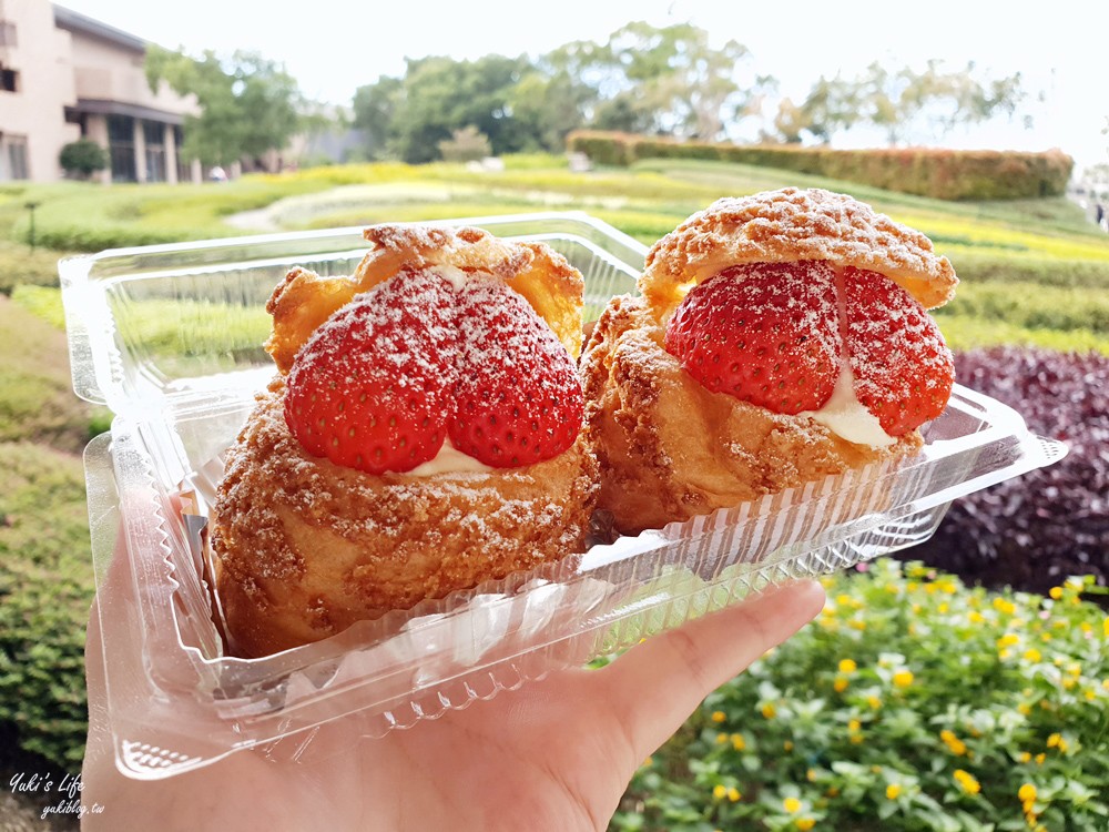 桃園草莓季甜點》逛史努比棒球主題館，吃草莓泡芙~名人堂花園大飯店美食 - yuki.tw