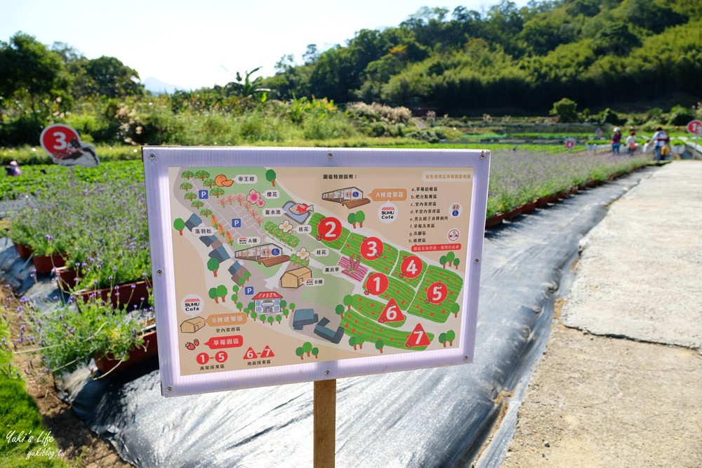 苗栗大湖景點∣紅色琉璃瓦∣SUHU Café韓風咖啡,約會採草莓推薦！ - yuki.tw