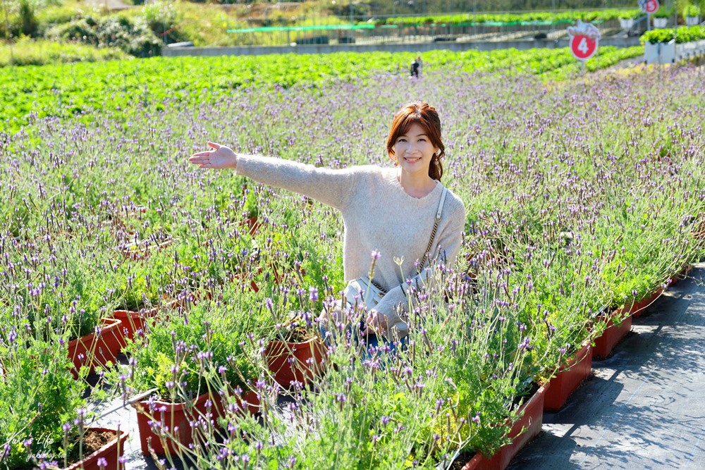 苗栗大湖景點∣紅色琉璃瓦∣SUHU Café韓風咖啡,約會採草莓推薦！ - yuki.tw