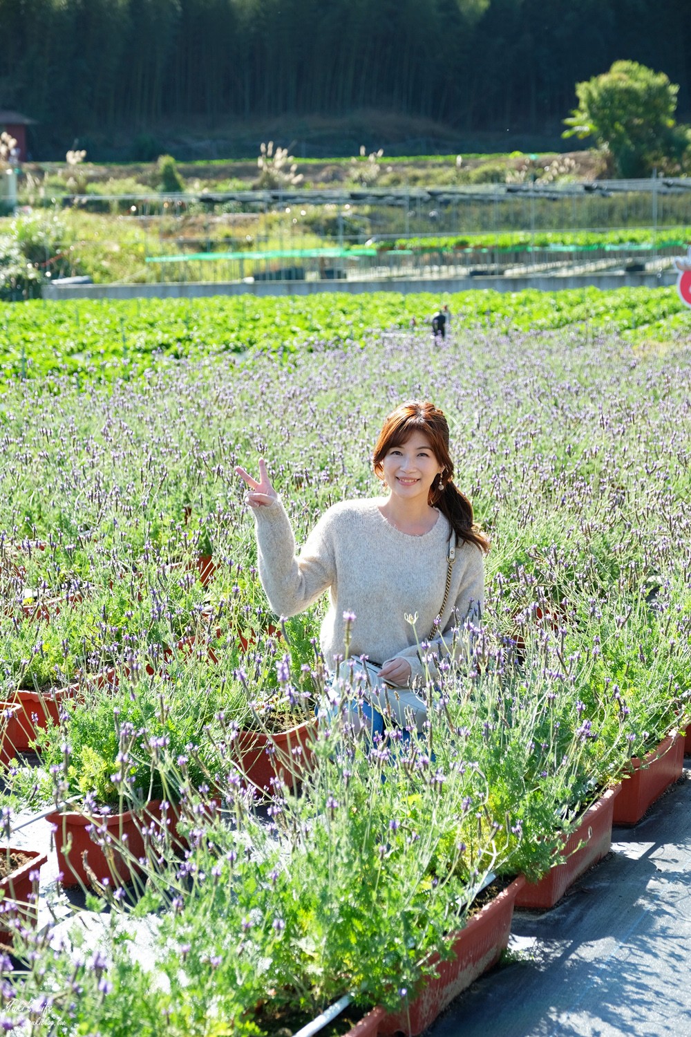 苗栗大湖景點∣紅色琉璃瓦∣SUHU Café韓風咖啡,約會採草莓推薦！ - yuki.tw