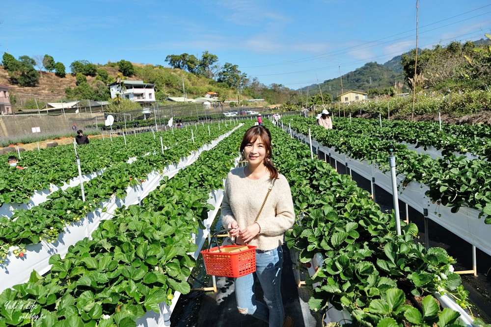 苗栗大湖採草莓一日遊》草莓園推薦、草莓火鍋、草莓咖啡廳，情侶約會好去處 - yuki.tw