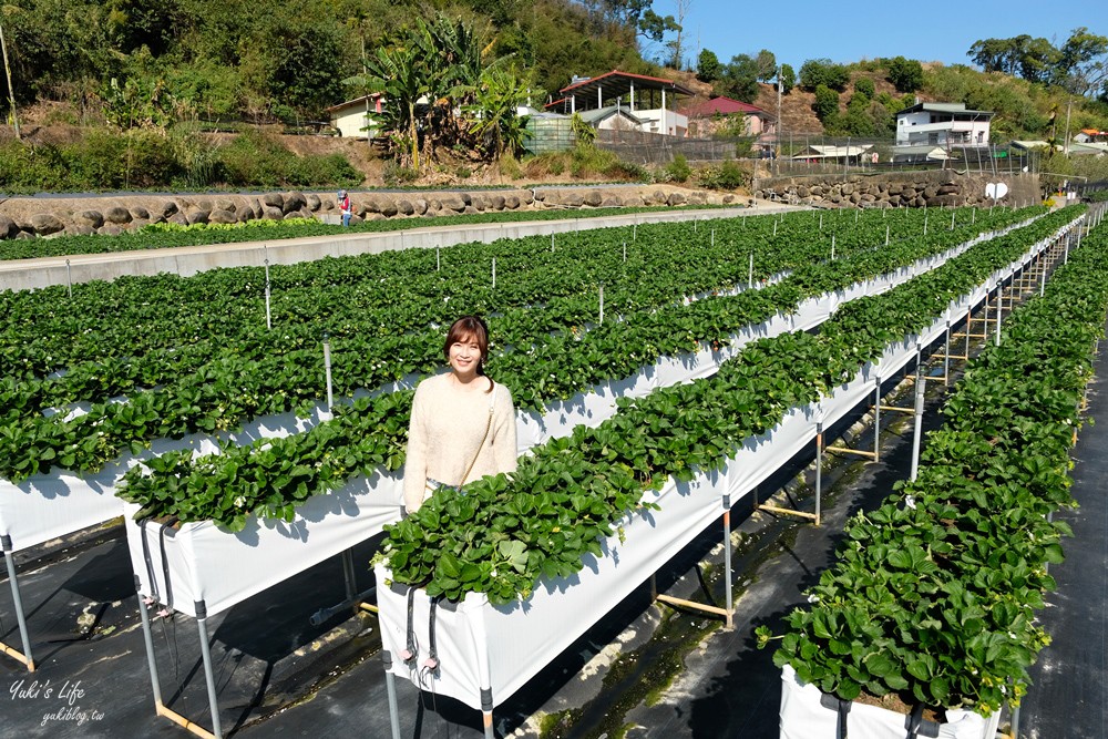 苗栗大湖景點∣紅色琉璃瓦∣SUHU Café韓風咖啡,約會採草莓推薦！ - yuki.tw