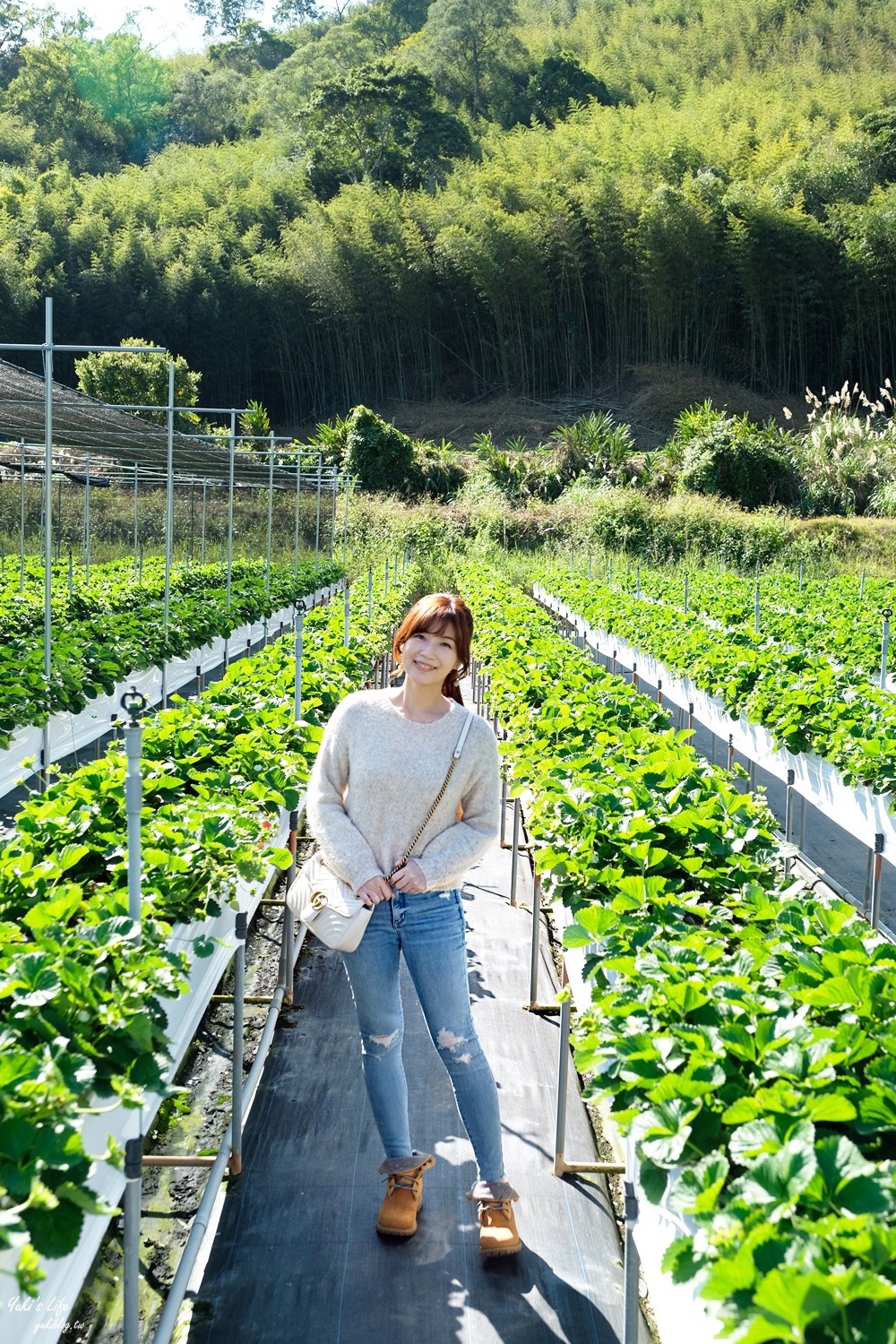 苗栗大湖景點∣紅色琉璃瓦∣SUHU Café韓風咖啡,約會採草莓推薦！ - yuki.tw