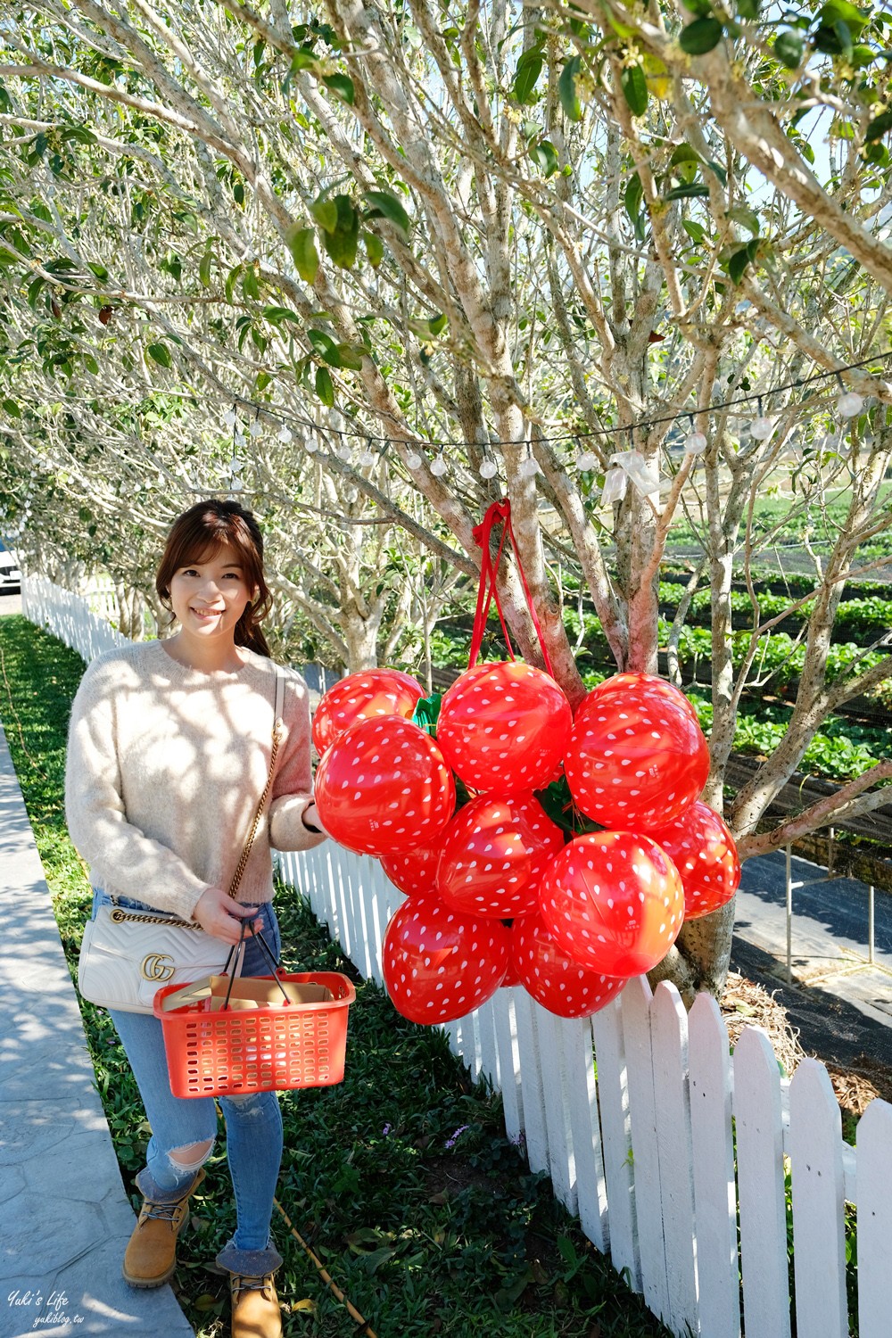 苗栗大湖景點∣紅色琉璃瓦∣SUHU Café韓風咖啡,約會採草莓推薦！ - yuki.tw