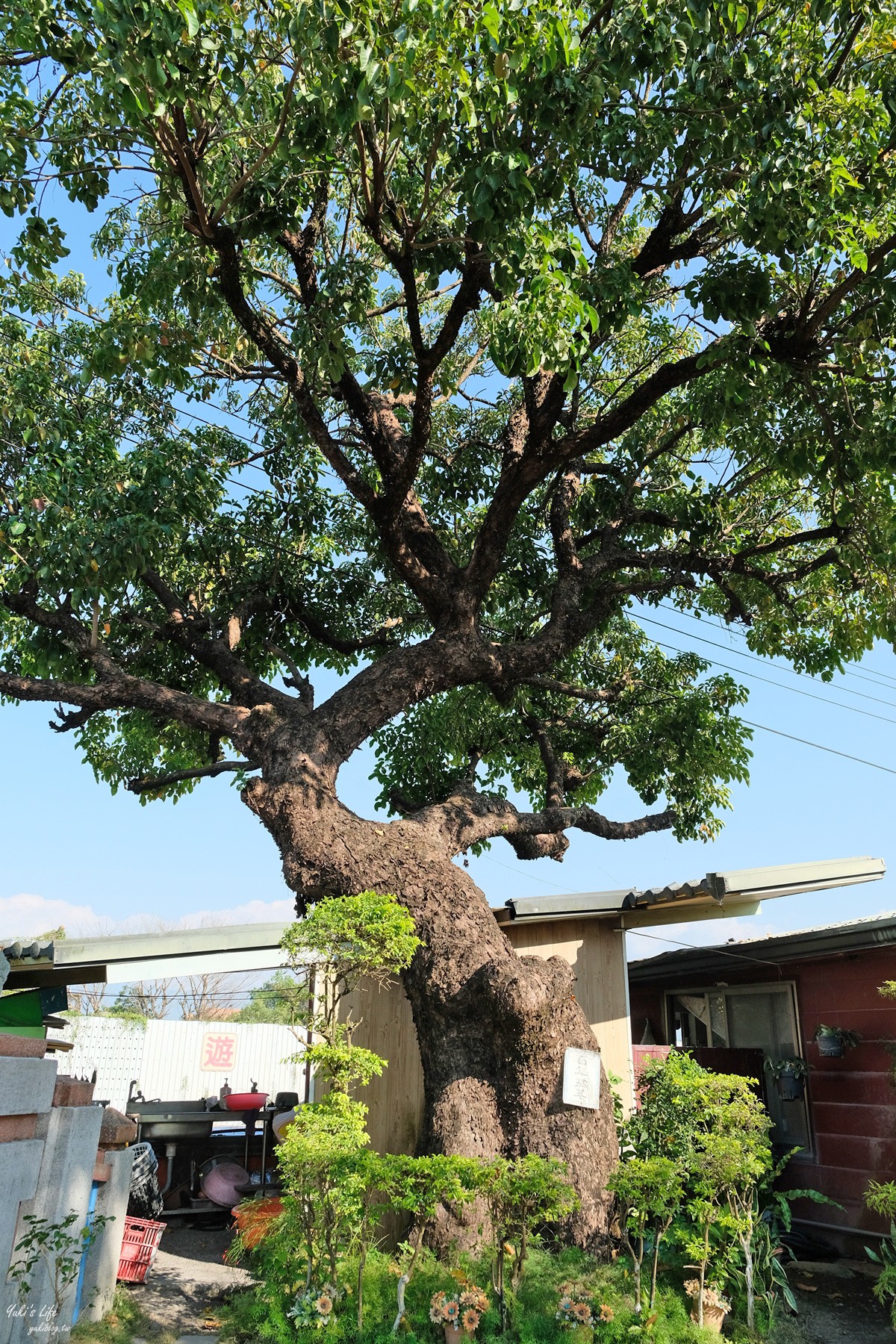 高雄美濃民俗村！免門票農村文物古色古香、擂茶DIY、油紙傘DIY親子之旅 - yuki.tw