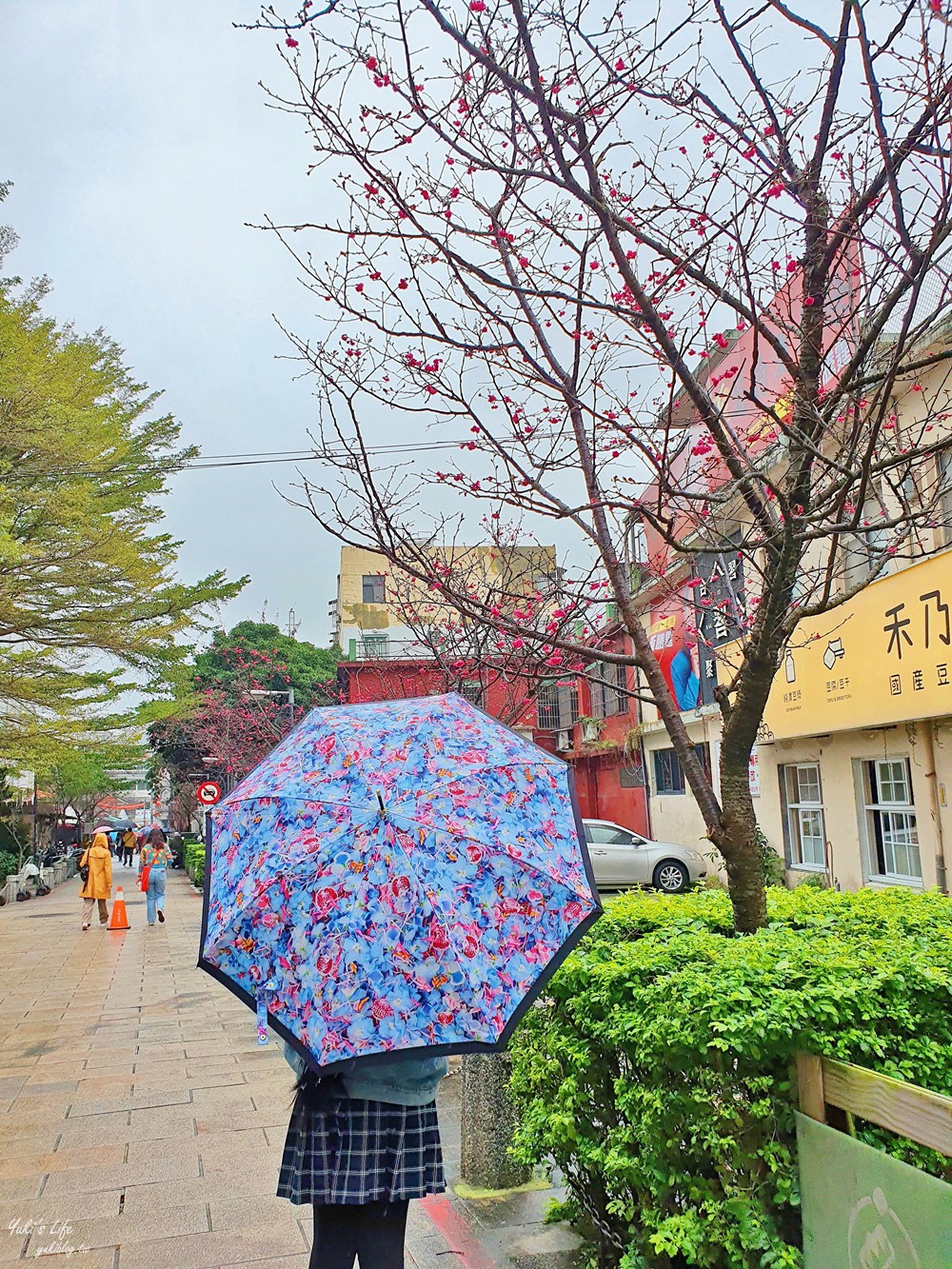 10元烤鳥蛋、山泉水豆花都推薦！假日睡到飽逛三峽老街吃吃喝喝很剛好 - yuki.tw