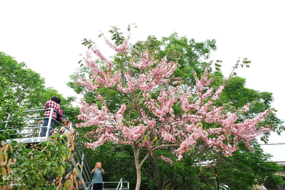 新竹關西景點|東安古橋|優雅又古典的絕美拱橋，免門票散步好去處 - yuki.tw