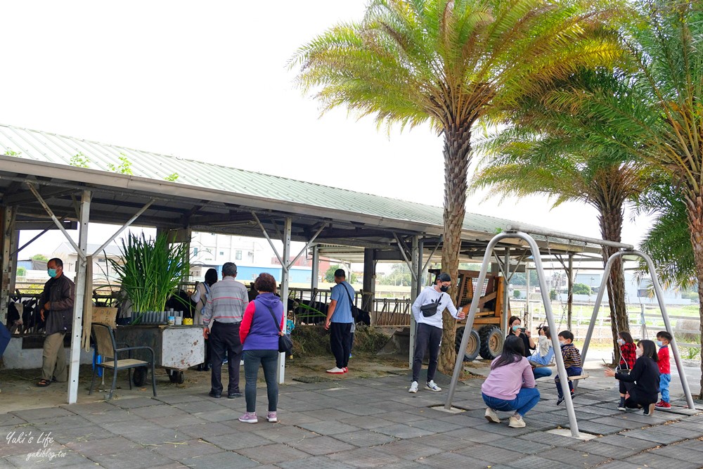 彰化秀水景點∣泳霖牧場∣免門票親子出遊,餵牛牧草10元有兒童遊戲區 - yuki.tw