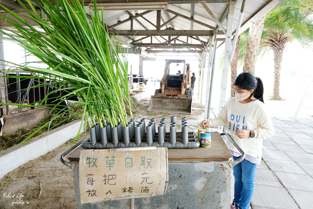 彰化秀水景點∣泳霖牧場∣免門票親子出遊,餵牛牧草10元有兒童遊戲區 - yuki.tw