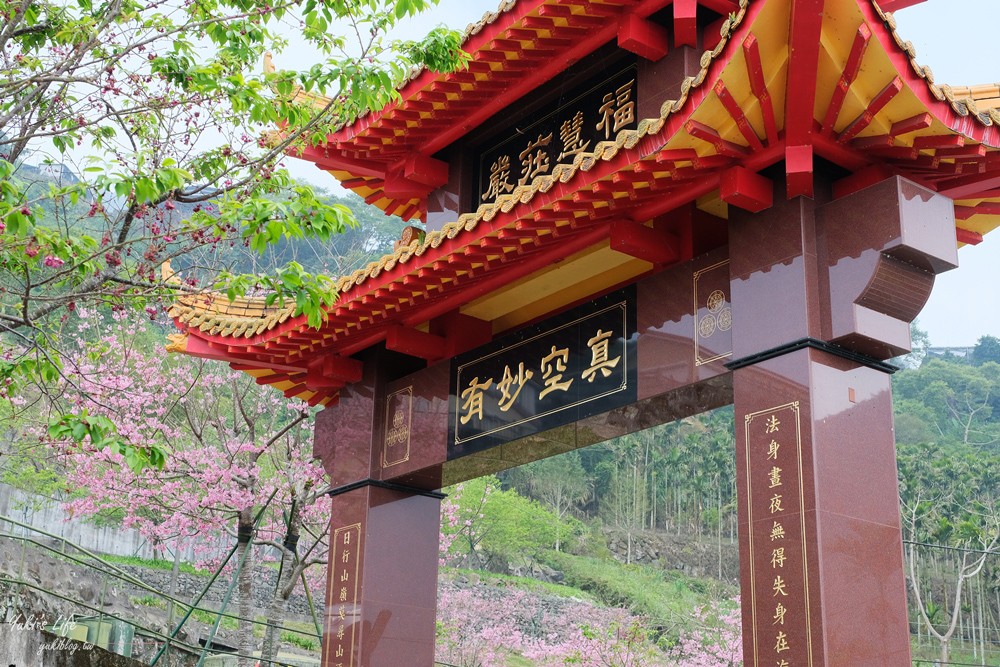 嘉義景點∣阿里山彌陀禪寺∣櫻花季粉嫩賞櫻勝地必拍點,八重櫻昭和櫻接力放送 - yuki.tw