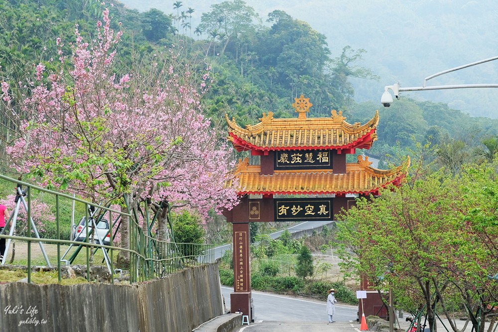 嘉義景點∣阿里山彌陀禪寺∣櫻花季粉嫩賞櫻勝地必拍點,八重櫻昭和櫻接力放送 - yuki.tw