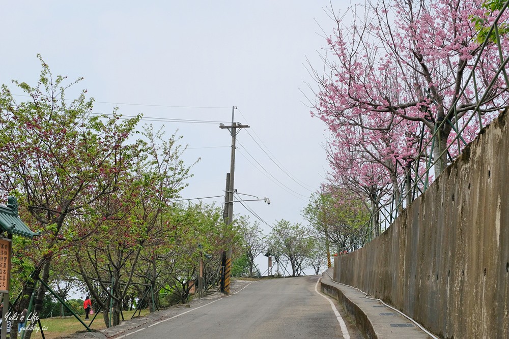 嘉義景點∣阿里山彌陀禪寺∣櫻花季粉嫩賞櫻勝地必拍點,八重櫻昭和櫻接力放送 - yuki.tw