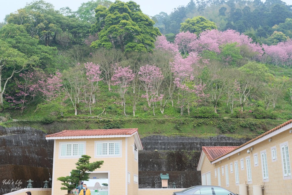 嘉義景點∣阿里山彌陀禪寺∣櫻花季粉嫩賞櫻勝地必拍點,八重櫻昭和櫻接力放送 - yuki.tw