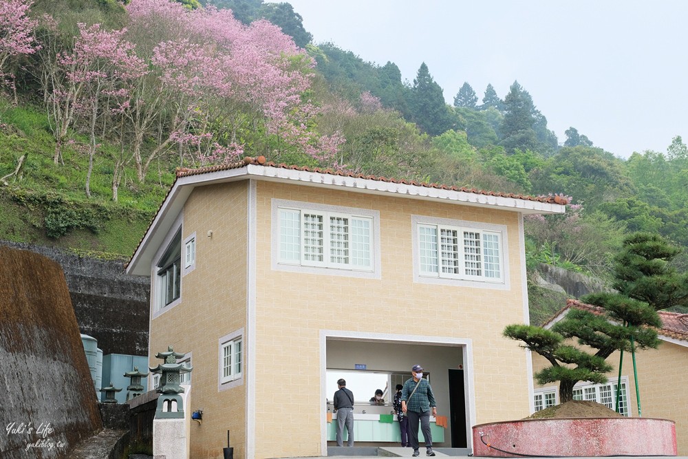 嘉義景點∣阿里山彌陀禪寺∣櫻花季粉嫩賞櫻勝地必拍點,八重櫻昭和櫻接力放送 - yuki.tw