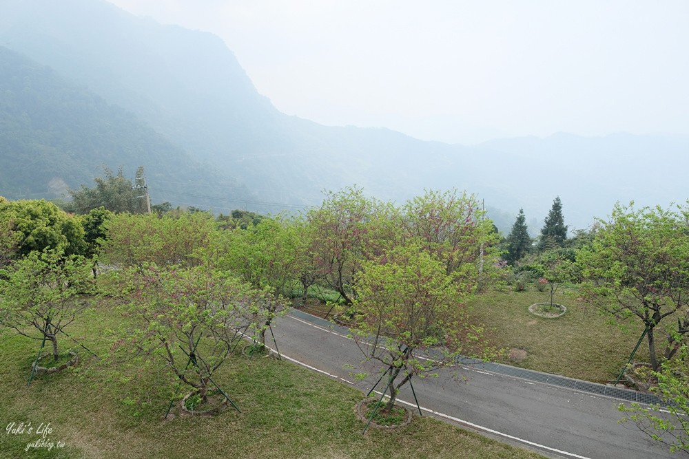 嘉義景點∣阿里山彌陀禪寺∣櫻花季粉嫩賞櫻勝地必拍點,八重櫻昭和櫻接力放送 - yuki.tw