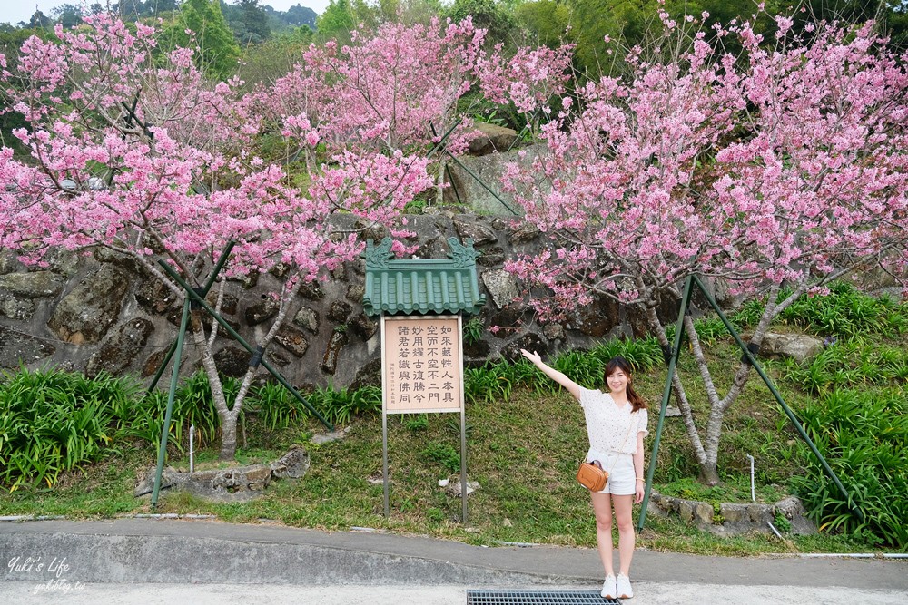 嘉義景點∣阿里山彌陀禪寺∣櫻花季粉嫩賞櫻勝地必拍點,八重櫻昭和櫻接力放送 - yuki.tw