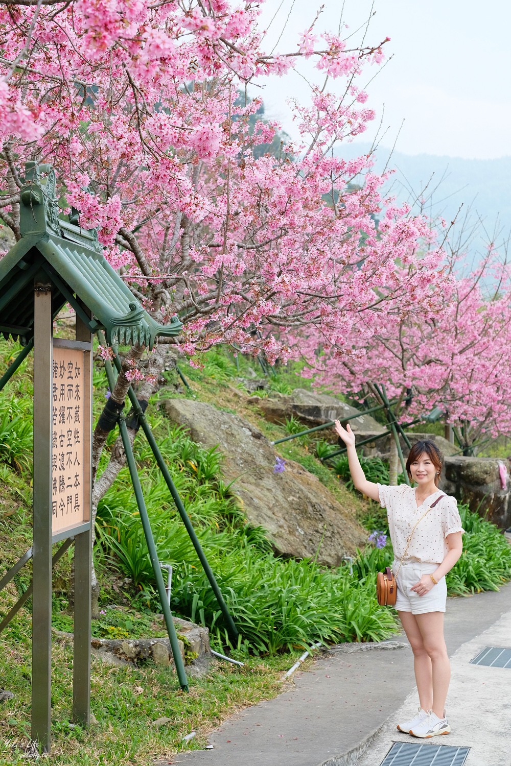 嘉義景點∣阿里山彌陀禪寺∣櫻花季粉嫩賞櫻勝地必拍點,八重櫻昭和櫻接力放送 - yuki.tw