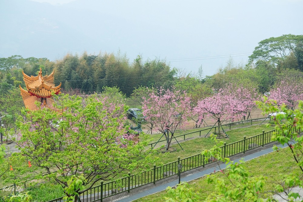 嘉義景點∣阿里山彌陀禪寺∣櫻花季粉嫩賞櫻勝地必拍點,八重櫻昭和櫻接力放送 - yuki.tw