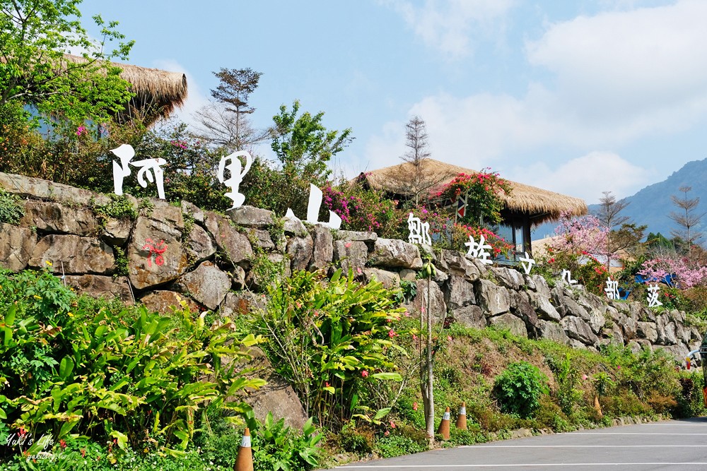 嘉義景點∣優遊吧斯鄒族文化部落∣阿里山仙境茶海好夢幻 - yuki.tw