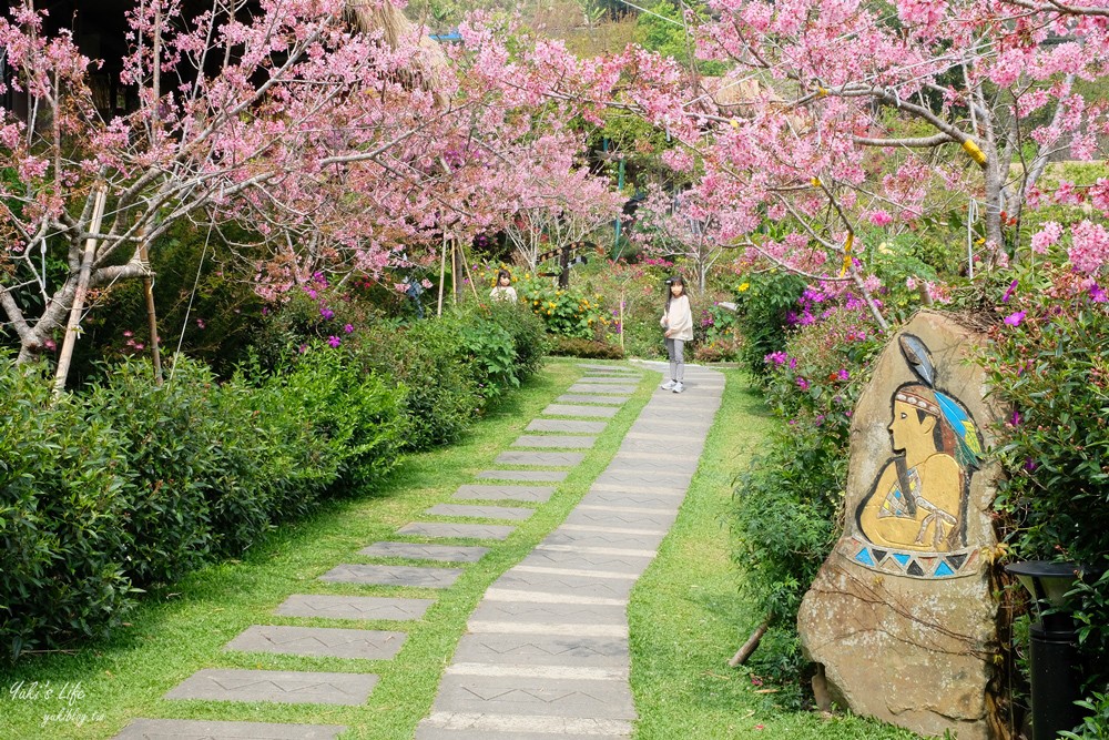 嘉義景點∣優遊吧斯鄒族文化部落∣阿里山仙境茶海好夢幻 - yuki.tw