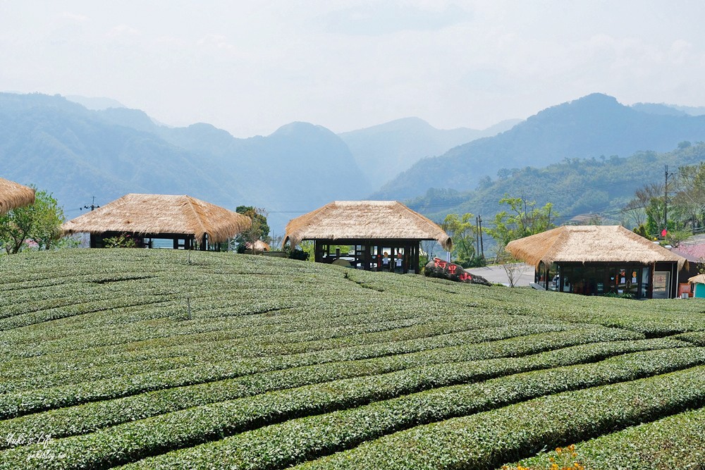 嘉義景點∣優遊吧斯鄒族文化部落∣阿里山仙境茶海好夢幻 - yuki.tw