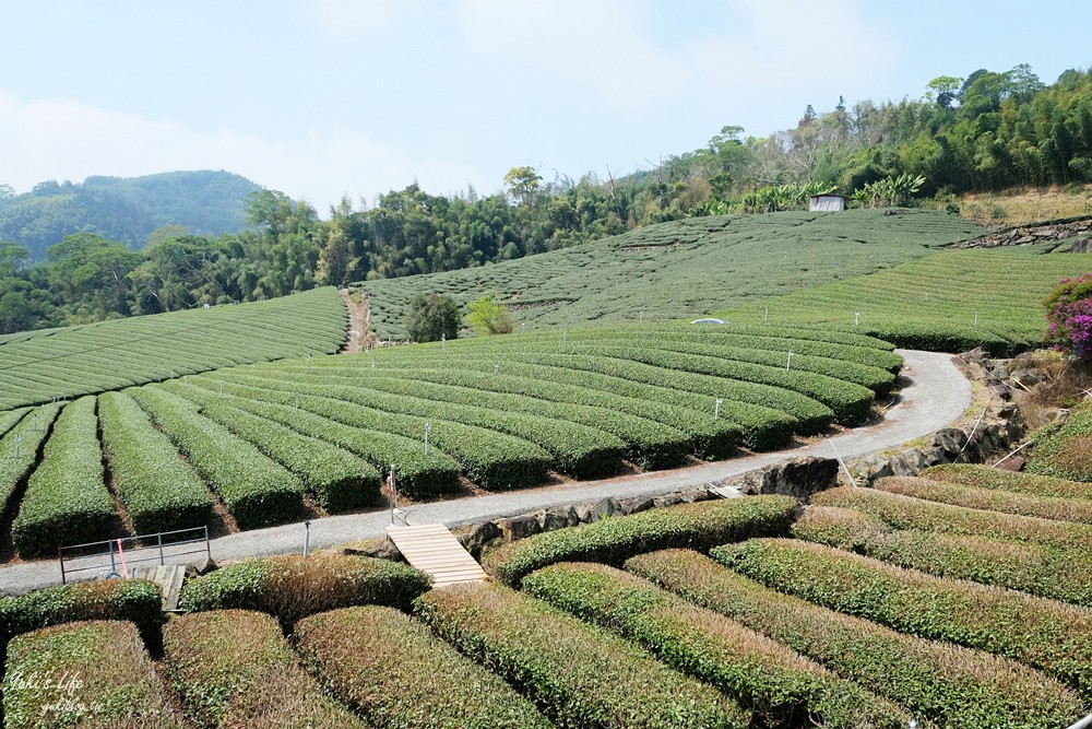 嘉義景點∣優遊吧斯鄒族文化部落∣阿里山仙境茶海好夢幻 - yuki.tw