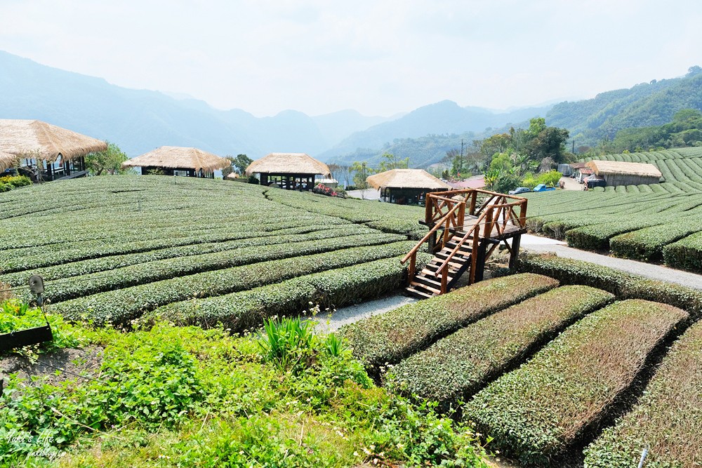 嘉義景點∣優遊吧斯鄒族文化部落∣阿里山仙境茶海好夢幻 - yuki.tw