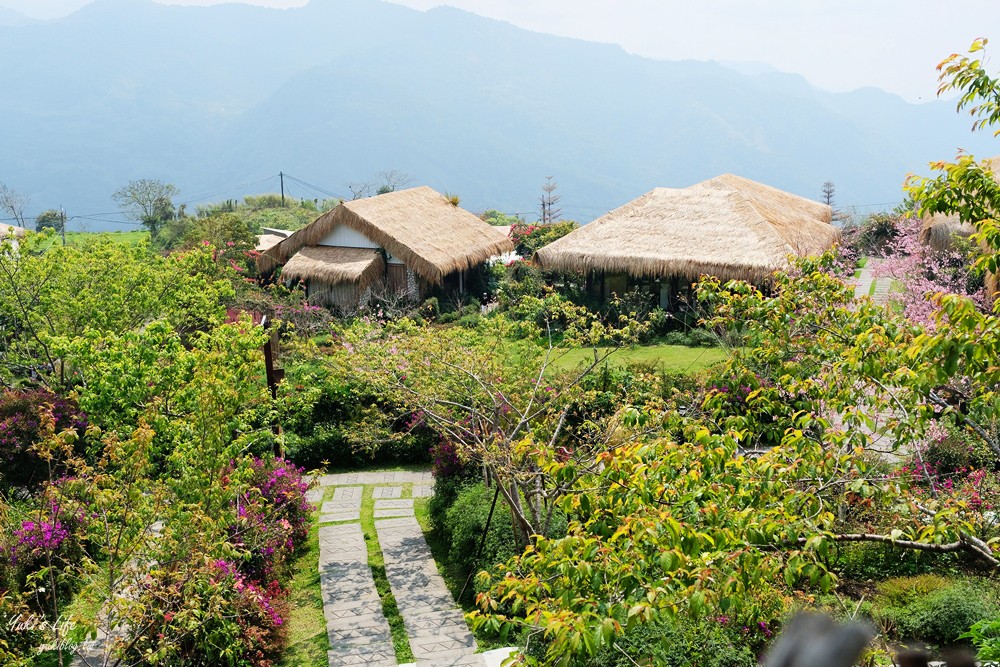 嘉義景點∣優遊吧斯鄒族文化部落∣阿里山仙境茶海好夢幻 - yuki.tw