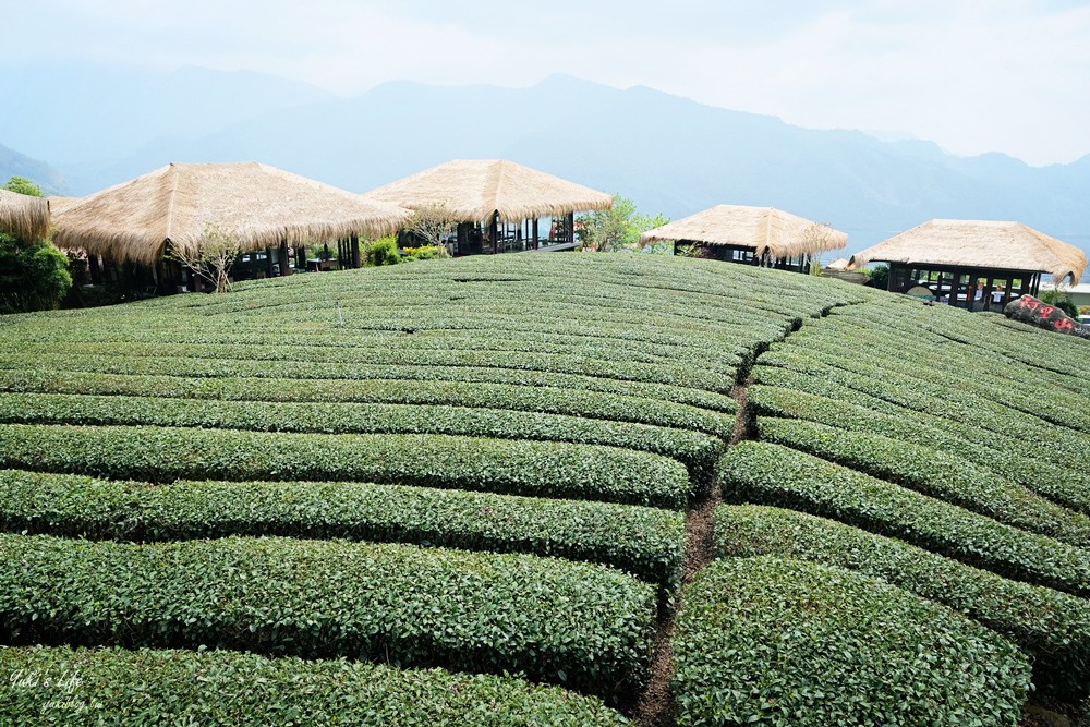 嘉義景點∣優遊吧斯鄒族文化部落∣阿里山仙境茶海好夢幻 - yuki.tw