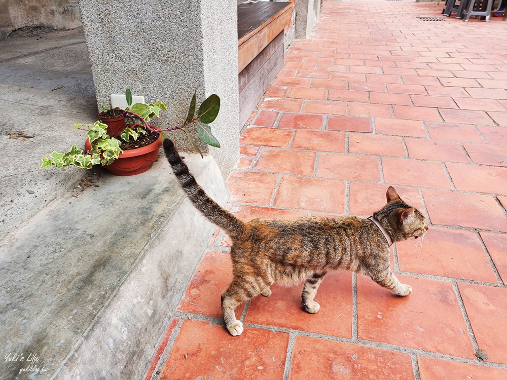 彰化鹿港景點∣和興青創基地∣約會好去處，文青日式宿舍天空步道新拍點 - yuki.tw