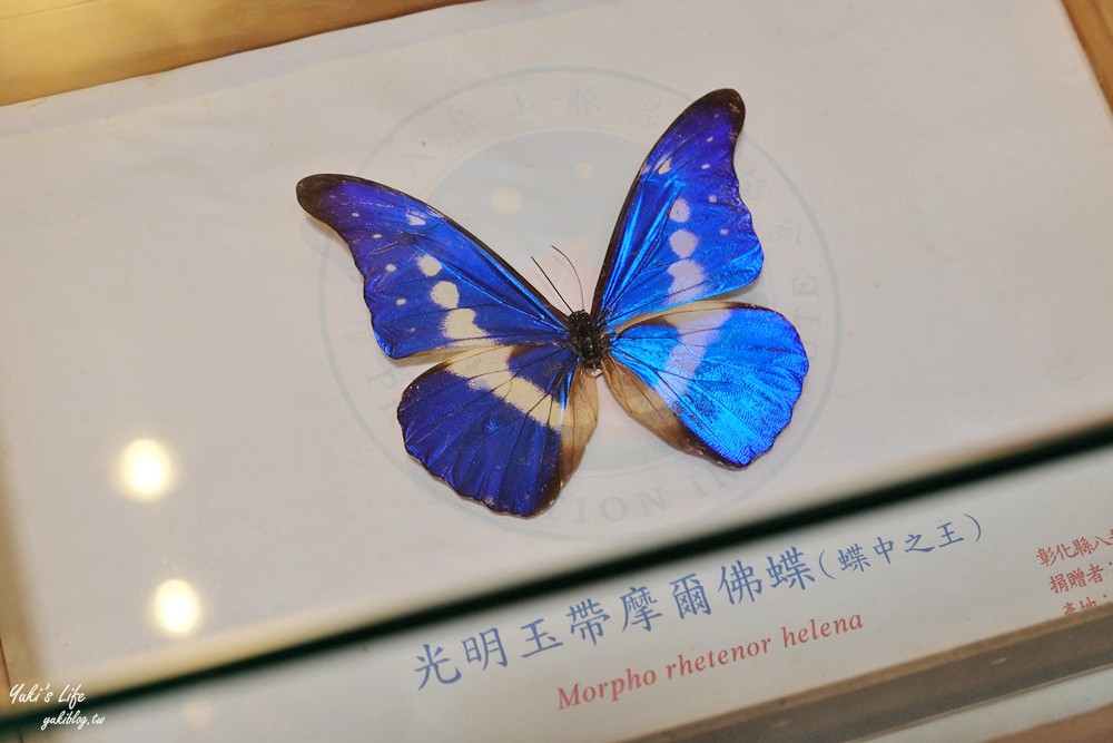 彰化景點推薦｜清水岩寺┃適合親子可免門票參觀生態館，超美古蹟像搭上時光機 - yuki.tw