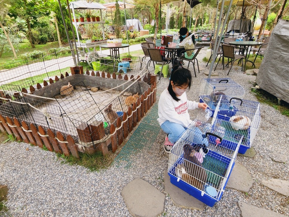 屏東艾米達精靈谷茶樹莊園~掉進奇幻精靈村童話世界，餵天竺鼠好療癒！ - yuki.tw