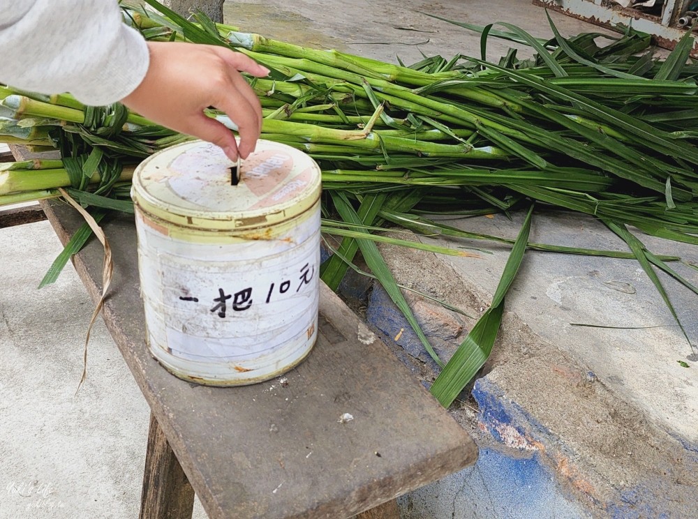 屏東囍羊羊牧場｜免門票｜一把牧草10元就能餵羊，愜意小花園好讚~ - yuki.tw