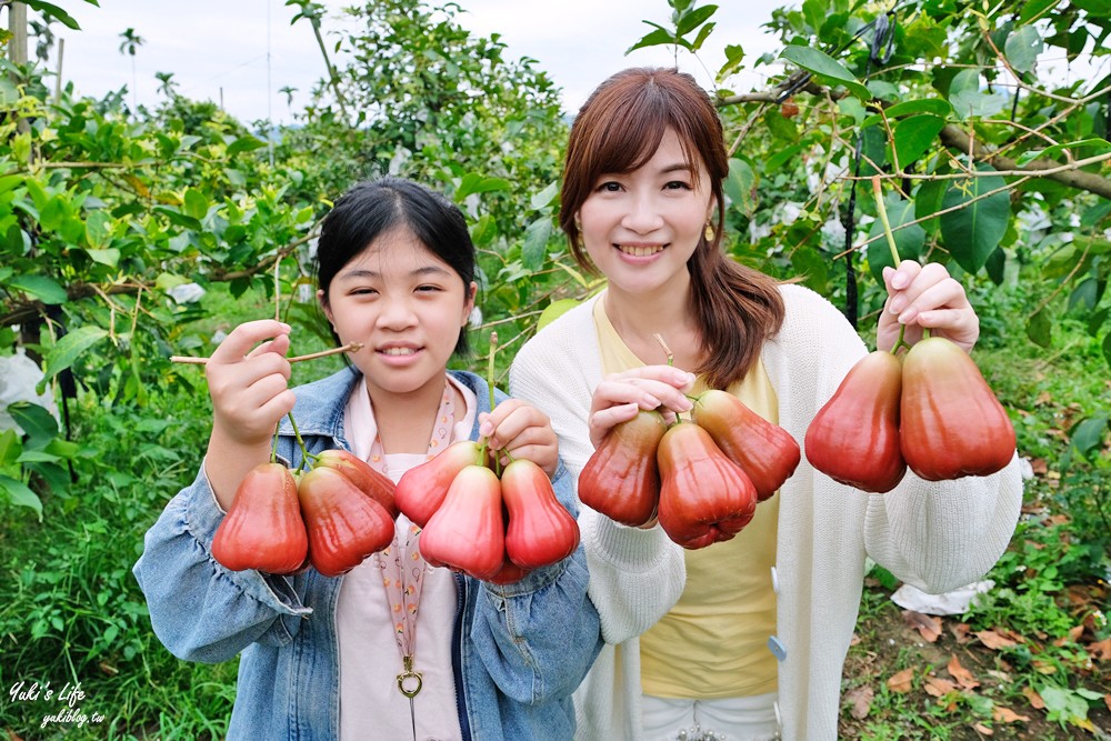 嘉義伍育果園「黑糖芭比」蓮霧界LV自己採，採蓮霧親子鄉村樂遊趣 - yuki.tw