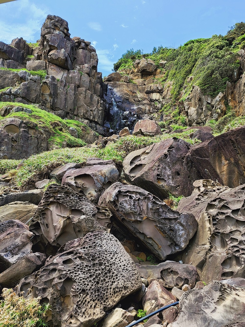 墾丁景點｜佳樂水風景區｜免走路.搭遊園車逛海神樂園真精彩！ - yuki.tw