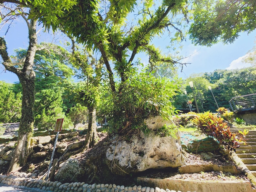 台南關子嶺水火同源，免門票景點來看水中有火奇景，景觀平台乘涼好愜意~ - yuki.tw