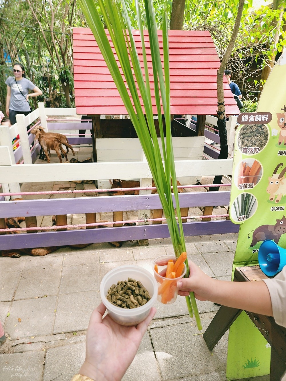 台南景點》樹谷農場，好多小動物超療癒，親子好去處還能溜滑梯！ - yuki.tw